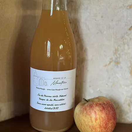 Manoir De La Moussetière - Et D'hôte Cour-Maugis-sur-Huisne