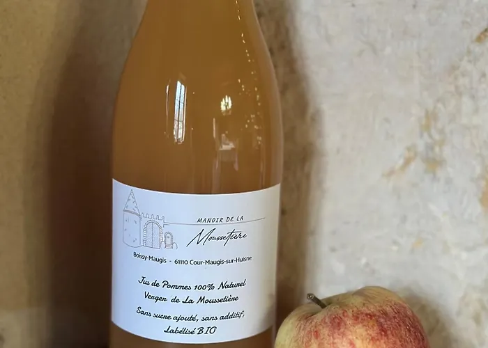 Manoir De La Moussetière - Et D'hôte Cour-Maugis-sur-Huisne